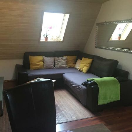 Wohnung Nur Fuer Monteure Und Handwerker Bad Krozingen Dış mekan fotoğraf