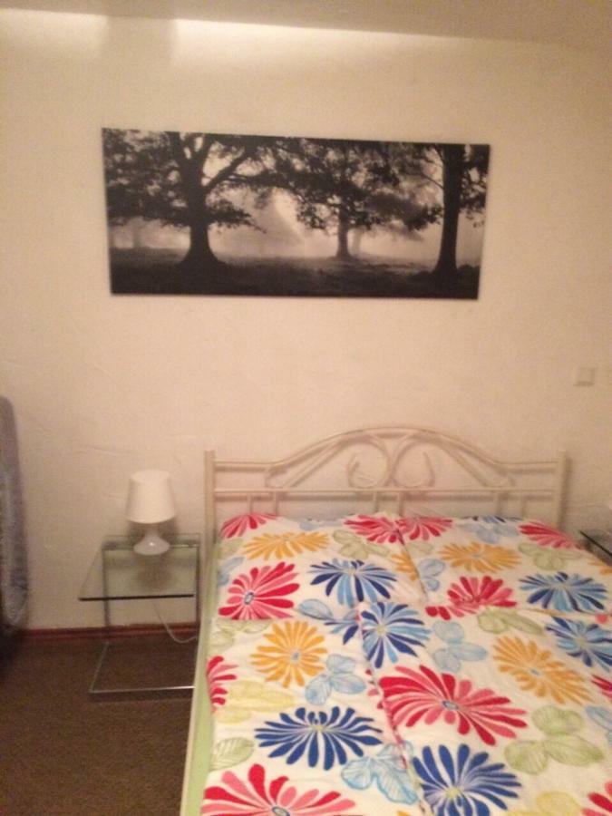 Wohnung Nur Fuer Monteure Und Handwerker Bad Krozingen Dış mekan fotoğraf